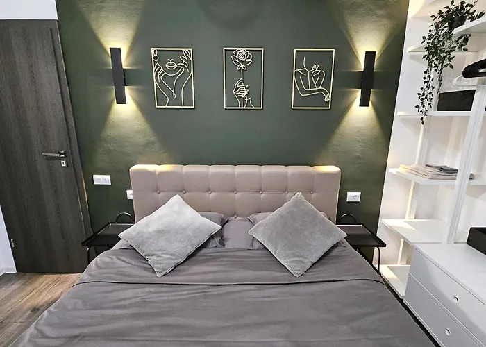 Apartment Like Victoriei *